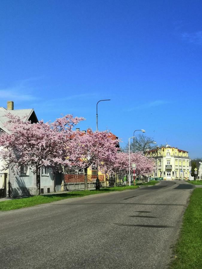 Hotel Modra Hvezda Sadská Exterior foto
